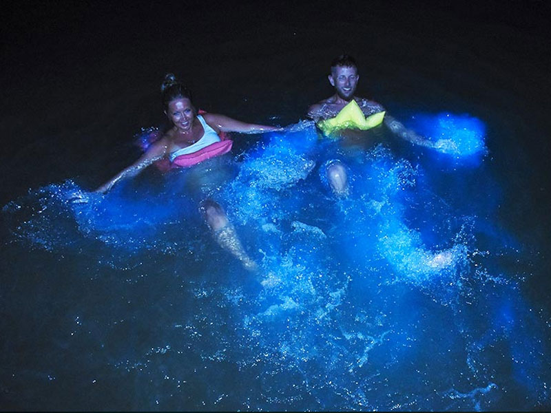 irie-excursions-and-tours-attractions-luminous-lagoon-1